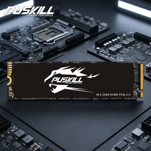 โรงงาน PUSKILL ขายส่งราคาดี ประสิทธิภาพสูง NVMe M.2 2280 PCIE3.0 SSD 128GB 256GB 512GB 1TB สำหรับคอมพิวเตอร์เล่นเกม - Product Image 1