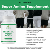 Capsules d'acides aminés essentiels OEM/ODM – Tous les 9 pour la récupération et la croissance musculaire – Mélange complet d'EAA – 2 capsules par dose – Fitness