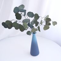 Décoration d'intérieur : Feuilles d'eucalyptus et de pomme stabilisées – Durabilité éternelle 3-5 ans pour Noël, la Fête des Mères, Thanksgiving
