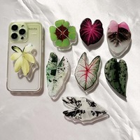 Prise de téléphone en acrylique populaire réglable, support pour téléphone portable pliable, à éjet, Design feuille de plante, personnalisée