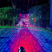 Lumières laser de jardin extérieures à mouvement de luciole RGB à haute luminosité 700 MW pour les décorations de parcs, de jardins, de maisons dans les arbres