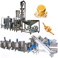 Chaîne de production 1000 kg/h pour la fabrication de tahini, beurre de karité, pâte de noisettes, amandes, noix de cajou, arachides et sésame