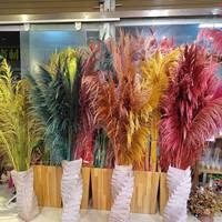 Bunga Kering Alami G196 Rumput Pampas Beige Besar untuk Dekorasi Bunga Pernikahan Rumah, Rumput Pampas Batang Besi
