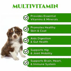 Venta al por mayor de suministros de salud para mascotas, suplemento de vitamina C nutritiva para perros y gatos - Product Image 3