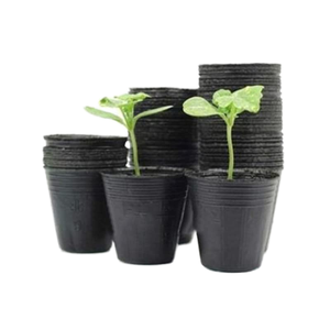 Pots de pépinière carrés durables et épais de grande taille (5 gallons) avec trous de drainage, en plastique PP écologique, pour la culture des myrtilles - Product Image 1