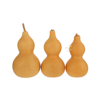 Artisanat en Gourdes Séchées en Gros, Style Rustique, Fait Main, Écologique, Durable, Souvenir, Forme Naturelle, Vietchoice