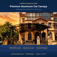 Abri de voiture autoportant en aluminium robuste pour deux véhicules, imperméable, avec ancrages