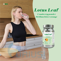 Vente directe usine de comprimés de feuille de lotus, compléments alimentaires à base de plantes, extraits végétaux, poudre de jus de prune à la cellulose, comprimés de feuille de lotus