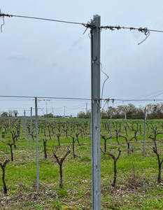 سياج معدني إيطالي لدعم العنب بارتفاع 2.4 متر، صديق للبيئة، مصنوع من الحديد المجلفن الثقيل 5 ملم، سهل التركيب ومقاوم للماء - Product Image 4