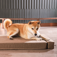 Petstar Großhandel Luxus Hunde bett Sofa Erweiterbares Rechteck Großes Haustier bett