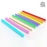 Tira de Luz LED de Silicona de 24V, Impermeable IP67, Resistente, para Exteriores, Paisajes, Longitud Personalizada