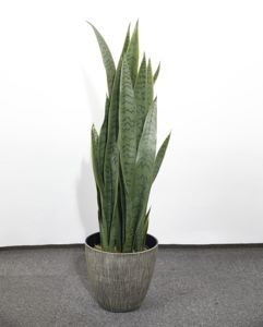 Plantas Artificiales Decorativas, Planta Artificial, Planta Serpiente Verde, <span class=keywords><strong>Sansevieria</strong></span> de Plástico - Product Image 3