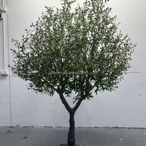 Stile moderno grande albero di olivo artificiale all'aperto di alta qualità in plastica resistente albero finto ambiente-Friendly per il <span class=keywords><strong>giardino</strong></span> di casa - Product Image 1
