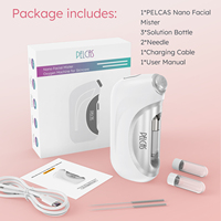 Pulvérisateur hydratant à l'oxygène nano PELCAS avec pression d'air réglable pour les soins du visage en spa et les traitements cutanés en salon