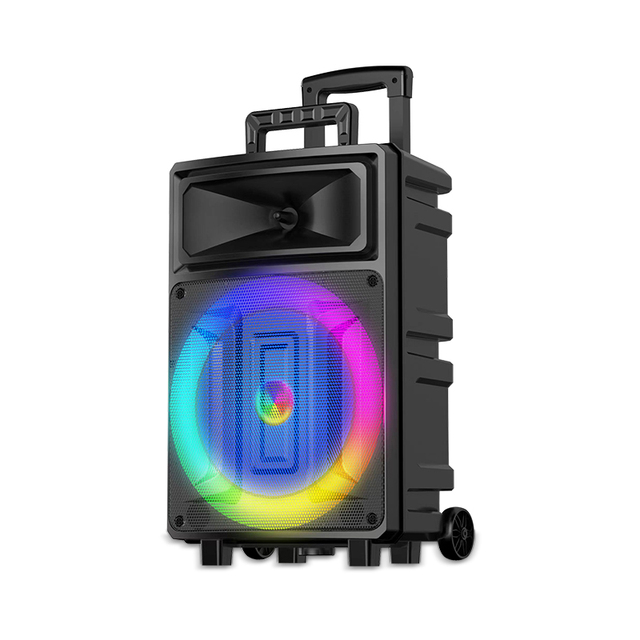 Sing E Single 12 Inch BT Portable Trolley Speaker Party Speaker With Remote USB Function Led Lighting
