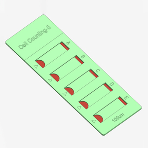 สไลด์นับเซลล์แบบห้ารูสำหรับใช้กับกล้องจุลทรรศน์ - Product Image 4