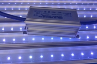 Meilleure vente uva uvb uvc 90cm/120cm de long 365nm 10w uv led barre de croissance pour plantes en croissance/floraison/floraison