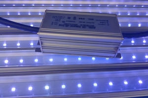 Meilleure vente uva uvb uvc 90cm/120cm de long 365nm 10w <span class=keywords><strong>uv</strong></span> led <span class=keywords><strong>barre</strong></span> de croissance pour plantes en croissance/floraison/floraison - Product Image 5