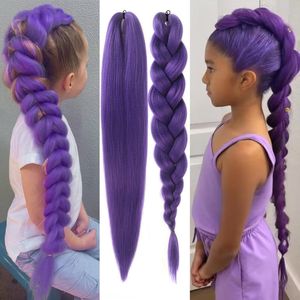 Perruque synthétique longue pour enfants, tresses torsadées violettes, double queue de cheval, pour cosplay, fête et déguisement - Product Image 1