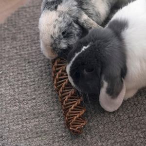 Küçük <span class=keywords><strong>pet</strong></span> hayvan <span class=keywords><strong>pet</strong></span> çiğnemek oyuncak için doğa ilk söğüt Spiral - Product Image 3