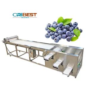 Factory Supply 3-4 Level Blueberry Grader Sorter Grading Machine Blueberry Sorting Machine For Fruit Industry