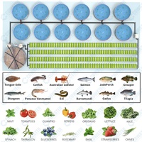 Cowater Système d'Aquaponie d'Élevage de Poissons en Intérieur Culture Hydroponique avec Laitues et Tilapias État Neuf Ferme de Légumes et de Poissons