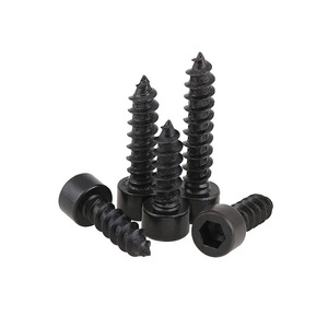 Vis autotaraudeuses à tête cylindrique SS304 (non moletées, pointe conique), M2-M6 - Product Image 6