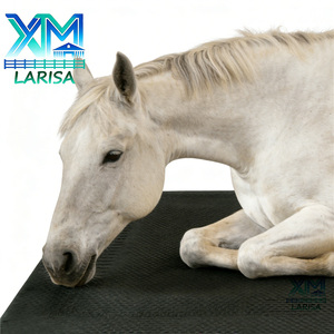 Nuevo Colchón Antifúngico para Caballos, Superficie SBR de 6 mm, Núcleo de Esponja de 30 mm, Base de Goma Antideslizante de 4 mm, Ropa de Cama Equina, 1 Año de Garantía - Product Image 4