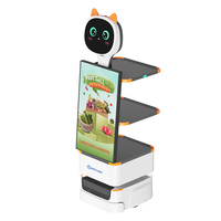 Anseboo Robot d'affichage commercial Robot de livraison de publicité intérieure avec écran HD de 27 'Produits publicitaires personnalisés pour les entreprises