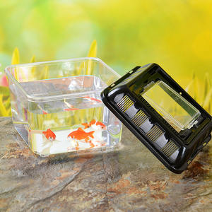 Groothandel Klein Vierkant Transparant Plastic <span class=keywords><strong>Aquarium</strong></span> Voor Goudvissen En Huisdierenschildpad Elegant Transparant Doosaccessoire - Product Image 6