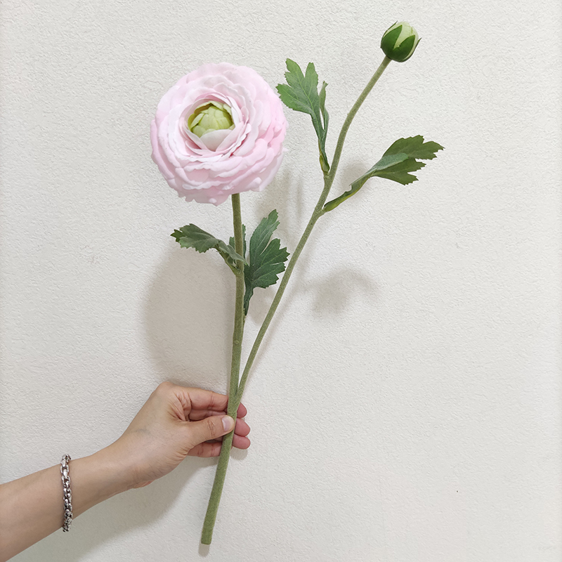 Pink 1