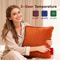 Coussin chauffant USB multi-scènes pratique, doux au toucher, idéal pour les entreprises de vente au détail et les cadeaux de fin d'année (commande en gros)