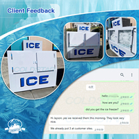 Conteneur de stockage pour glaçons avec capacité de 200 sacs, en vente, pour glaçons ensachés en extérieur, glacière, congélateur