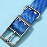Collier de chien en TPU étanche vert citron de haute qualité avec laisse équipement GPS à motif solide personnalisé pour la chasse et les soins des animaux de compagnie