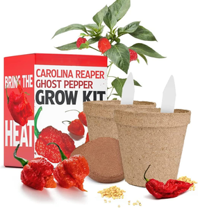 Sada pro pěstování rostlin Carolina Reaper