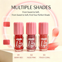 LSFAIRY LG193 Gloss à lèvres hydratant végétalien transparent longue tenue, personnalisable, étanche, avec emballage marque privée, tubes en gros