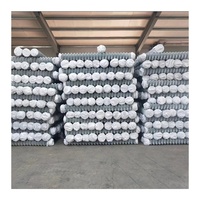 Alambre Galvanizado de Alta Tensión de Venta Caliente de Fábrica China, Alambre de 2 mm y 3 mm de Diámetro, Malla de Alambre con Orificios de 50 mm y 60 mm
