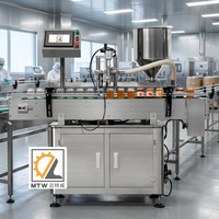 Machine de remplissage MTW pour miel, mayonnaise et pâtes – Automatique, à tête unique, pour petites productions