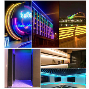 8X16MM 120LEDs/M luces de neón sin conductor decoración IP65 <span class=keywords><strong>tira</strong></span> de luz <span class=keywords><strong>Led</strong></span> <span class=keywords><strong>220V</strong></span> 110V <span class=keywords><strong>Tira</strong></span> <span class=keywords><strong>Led</strong></span> neón 10cm por corte <span class=keywords><strong>Led</strong></span> neón Flex - Product Image 6