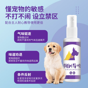 Pet <b>Training</b> Spray Bottle <b>Potty</b> <b>Training</b> Aid For Dogs Deodorant - Product Image 2