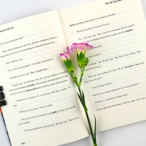 Il Vecchio Uomo e il Mare, Romanzo Originale Non Ridotto in Inglese di Hemingway - Modello 9787501592401, Bestseller per Letture Extracurricolari - Product Image 3