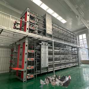 <span class=keywords><strong>Poulailler</strong></span> de type H à haute capacité avec cage à poules pondeuses et automatisation - Product Image 1