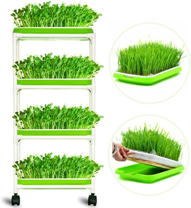 Extra Strength 4-Layer PP Nursery Trays Lids Healthy Wheatgrass <strong>Seeds</strong> Grower <strong>Storage</strong> for Home Office Garden <strong>Seed</strong> Planting - Product Image 1