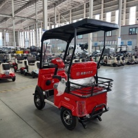 Triciclo eléctrico de baja velocidad para desplazamientos diarios: seguro, ecológico y fácil de operar