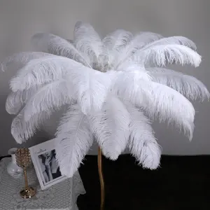 Grosir alami 15-75cm bulu burung unta putih untuk kostum karnaval pernikahan DIY seni Kerajinan Dekorasi