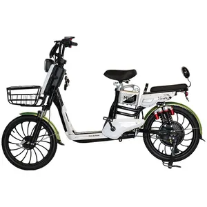 동남아시아에 수출 고품질 전기 자전거 350W 모터 4-8H 충전 시간 성인을위한 최고의 Ebike