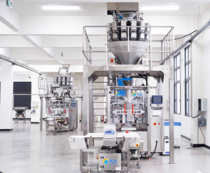 Mesin Pengemas Buah Beku Berry Blueberry Stroberi Nanas Anggur Mangga Potongan - Product Image 5