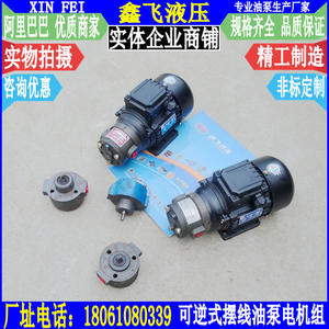 Conjunto de Motor y Bomba de Aceite Lubricante Cicloidal Reversible KBBY-3-1.2/0.8/4/2.5/2B DRA/2FS/3FS - Product Image 3