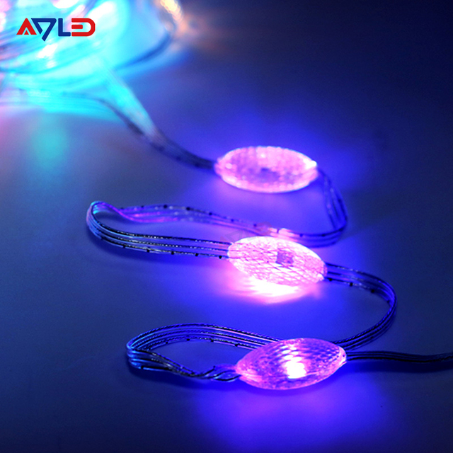 LED Christmas Outdoor Garden Decorative RGBIC Addressable Smart Fairy String Lights IP65 Rated DC5V Copper Wire Dimmable 5M-10M