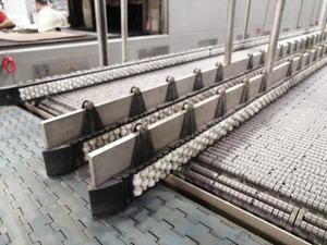 Plaques de transfert de doigts 2020, bande transporteuse modulaire en plastique - Product Image 6